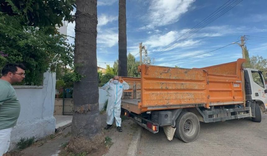 Marmaris’te kötü koku ihbarı gerçeği ortaya çıkardı