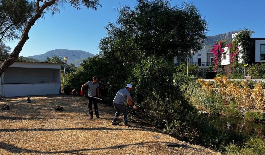 Bodrum’da ot temizliği: 400 bin metrekare aşıldı