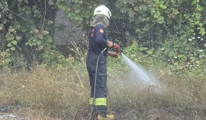 Menteşe’de ot yangını: 2 dönüm alan zarar gördü