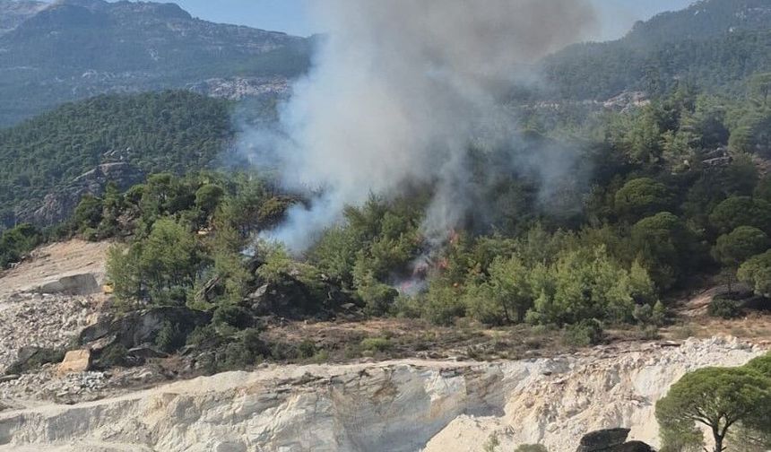 Milas’ta orman yangınına havadan ve karadan müdahale