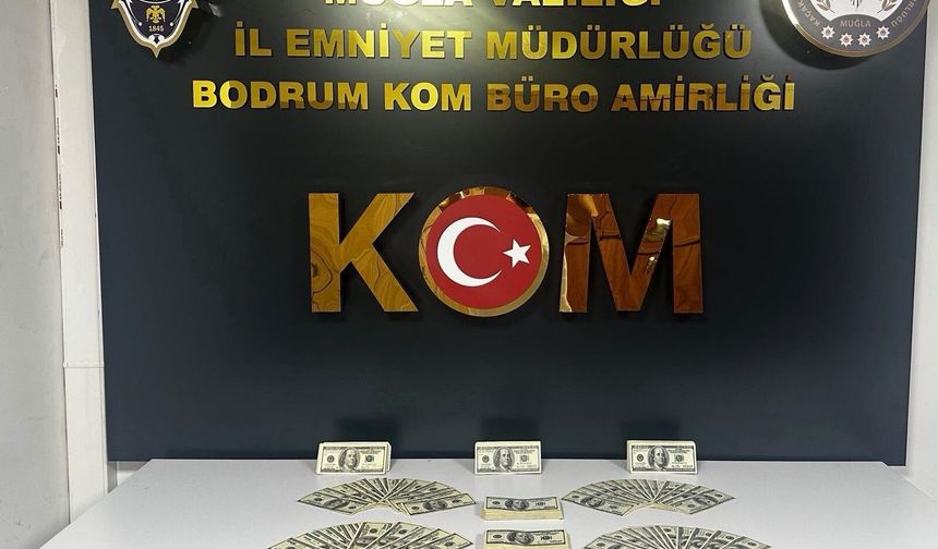 Bodrum’da sahte dolar operasyonu: 462 banknot ele geçirildi
