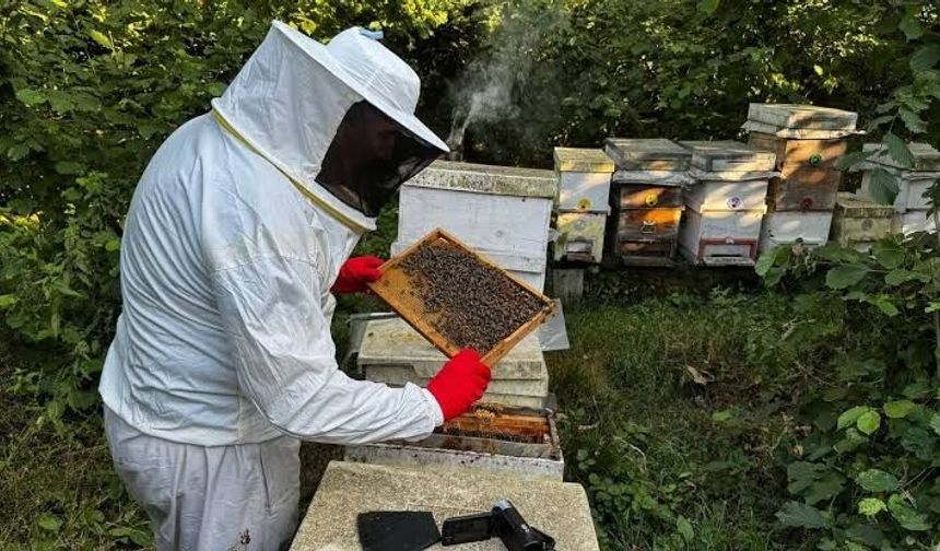 Muğla’da arıcılara destek müjdesi! İşte ödeme tutarları