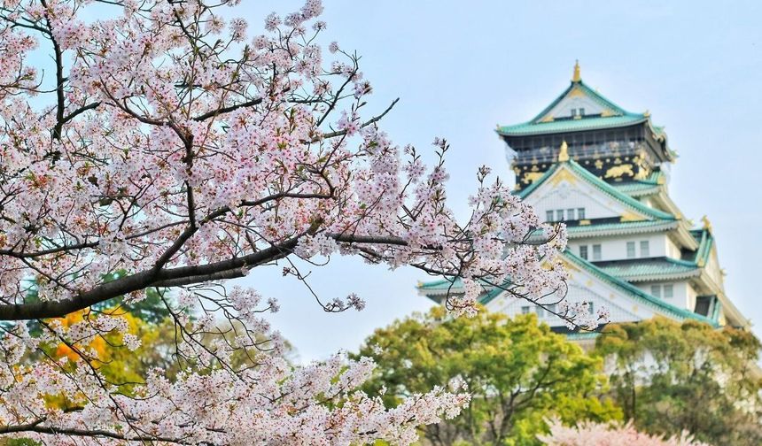 Japonların uzun yaşam sırrı: İkigai