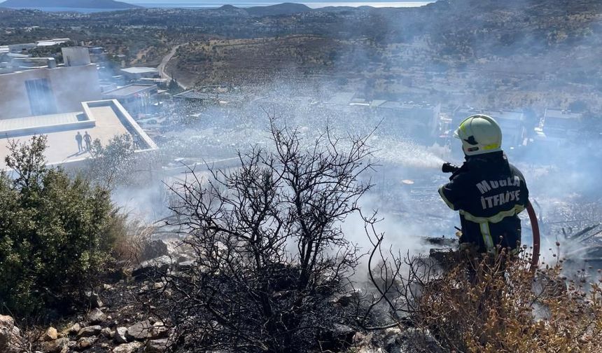 Bodrum’da makilik yangını korkuttu!