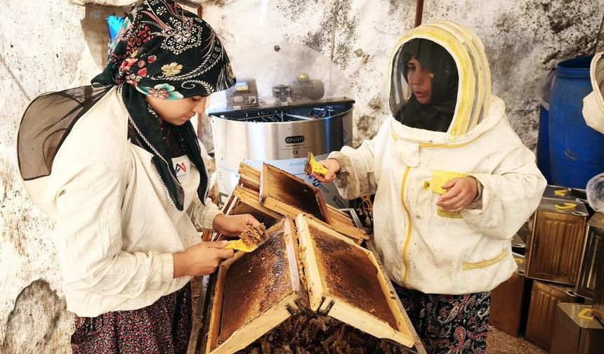 Muğla’da arıcılardan tepki: "Çam balı değerini bulamıyor"