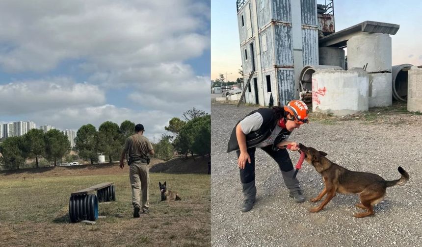Muğla’nın arama kurtarma köpekleri yeterlilik sınavını geçti