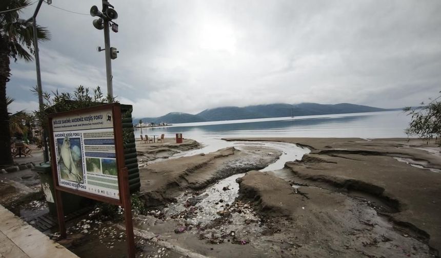 Akyaka’da sağanak sahili vurdu: Kumlar denize sürüklendi