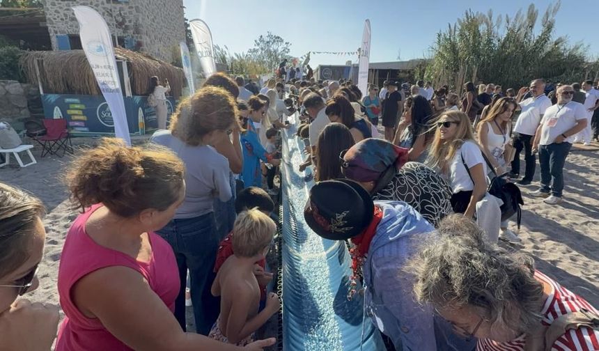 Bodrum Balık Festivali’nde 6 bin yavru balık denizle buluştu