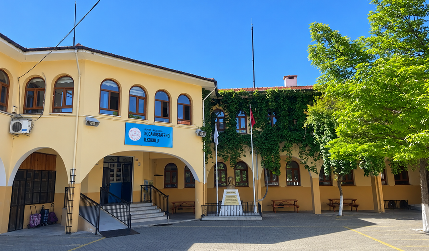 Muğla'da okul müdürü kedilere yem verirken camdan düştü