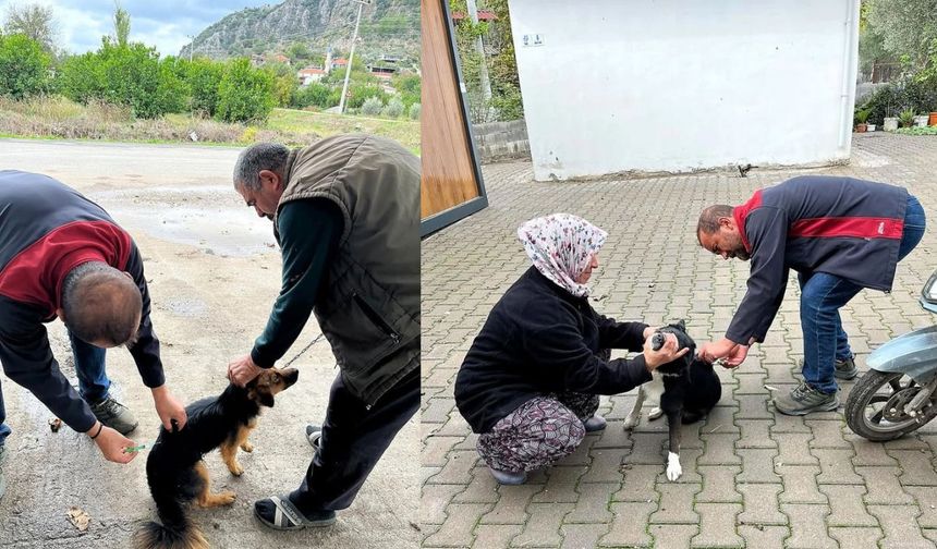 Ortaca’da iki mahallede kedi ve köpeklere kuduz aşısı