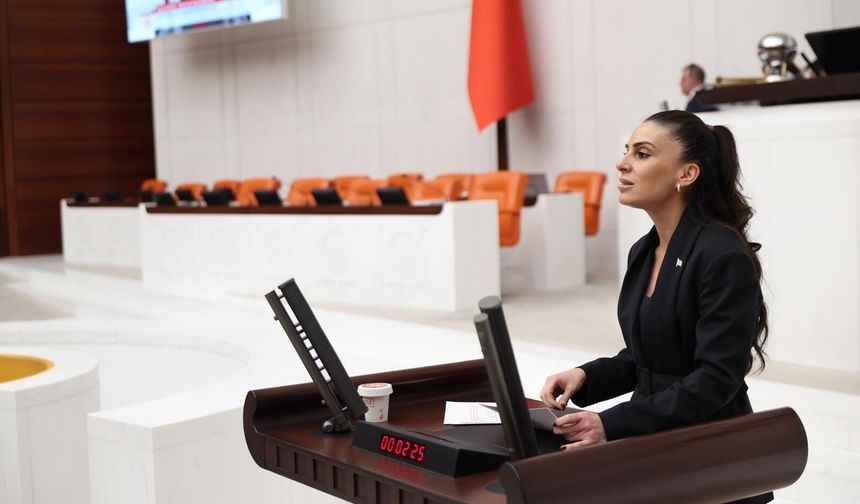 Fon krizinde Gizem Özcan’dan Meclis’e araştırma çağrısı
