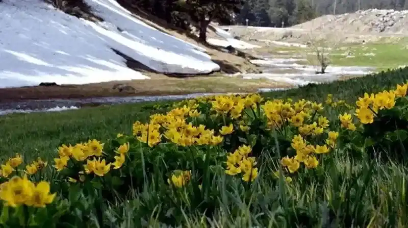 Nevruz Bayramı Nedir? Ne zaman kutlanır?