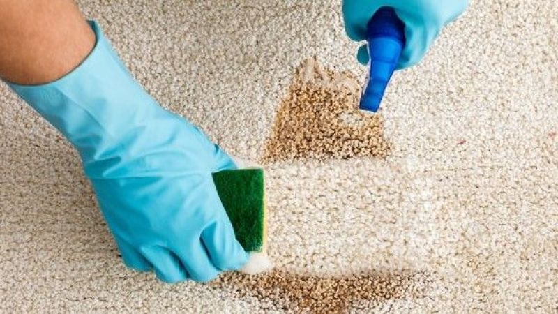 Halı nasıl temizlenir?