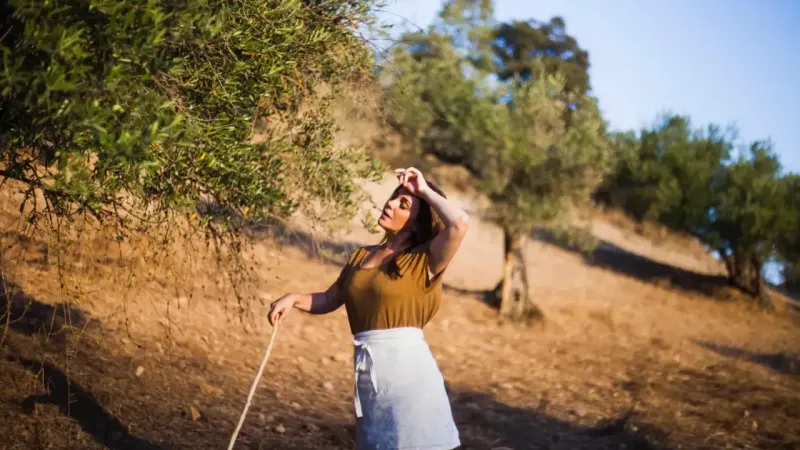 <p>Zeytin ağaçları farklı iklim koşullarına uyum sağlayabilen dayanıklı bitkilerdir. Ancak hasat işlemi sırasında çevresel faktörler de göz önünde bulundurulmalıdır. Örneğin, ağaçların bulunduğu yerin eğimli olup olmaması, ağacın yaşı ve boyu gibi etmenler, hasat yöntemini etkileyebilir. Zeytinin çürümesini engellemek ve kalitesini korumak için taşıma ve depolama işlemleri de büyük önem taşır. Zeytinlerin doğru şekilde taşınması, kaliteli bir zeytinyağı elde etmenin anahtarıdır.</p>