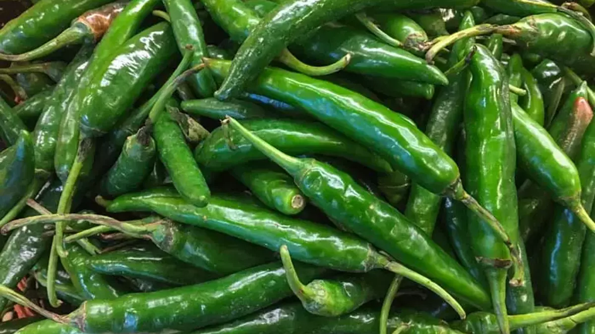 5F2Bc82E79Da3E16Ac106C32