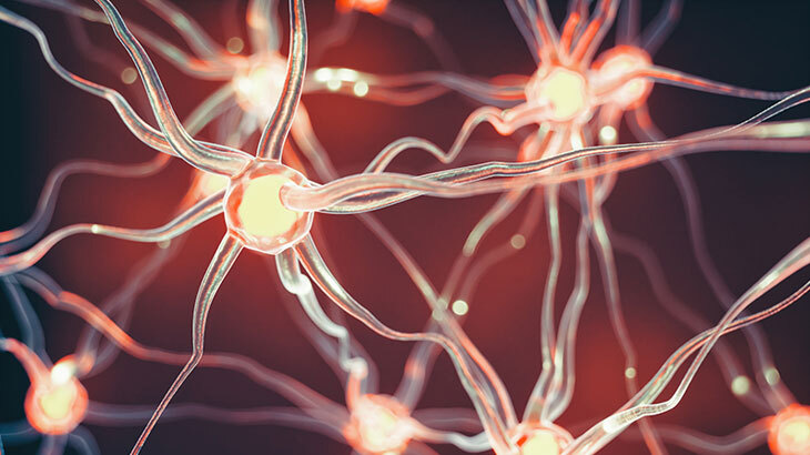 Hangi Hormon Ne Ise Yarar 1976 1