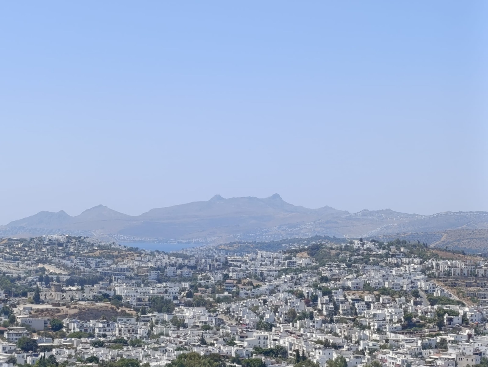 33Dd01F0 00Bd 45Ad 9A47 F198Cb2Be8Cc-1