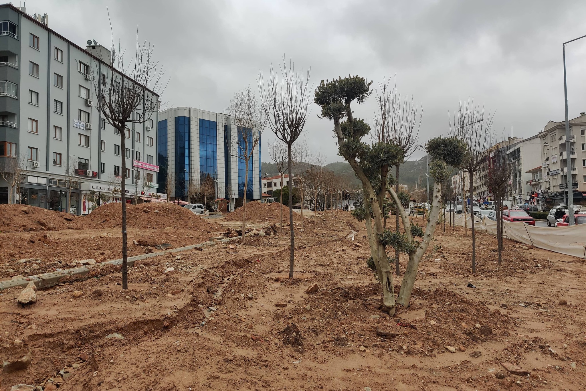 619605031 2399543120510880 903385628204320518 N