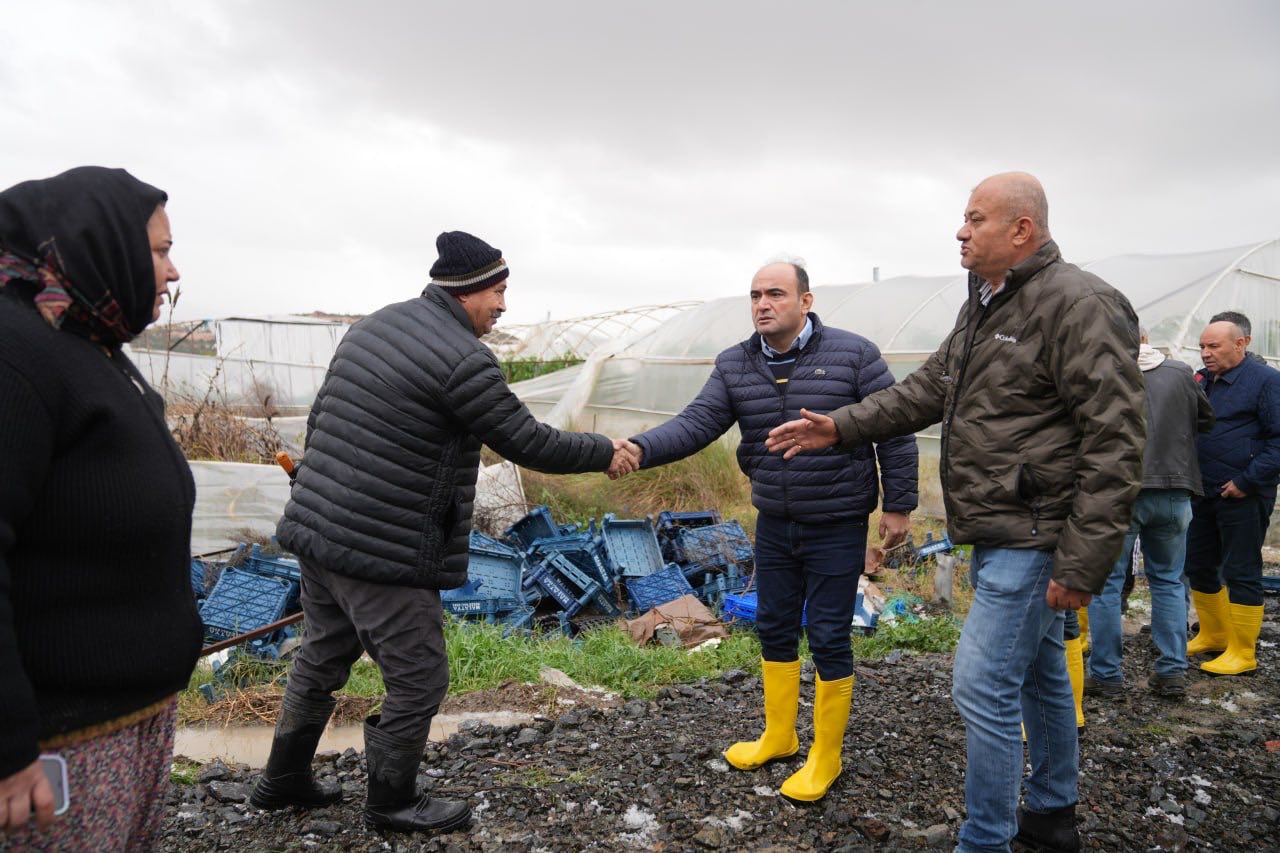 619948918 834974262892704 4702464707777024675 N