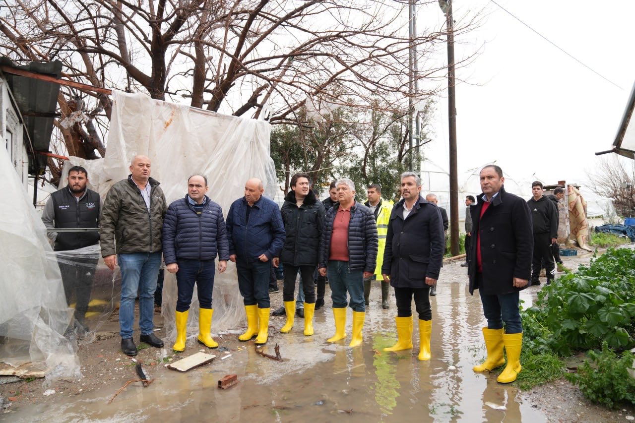 622705556 834974229559374 7356121400247223946 N