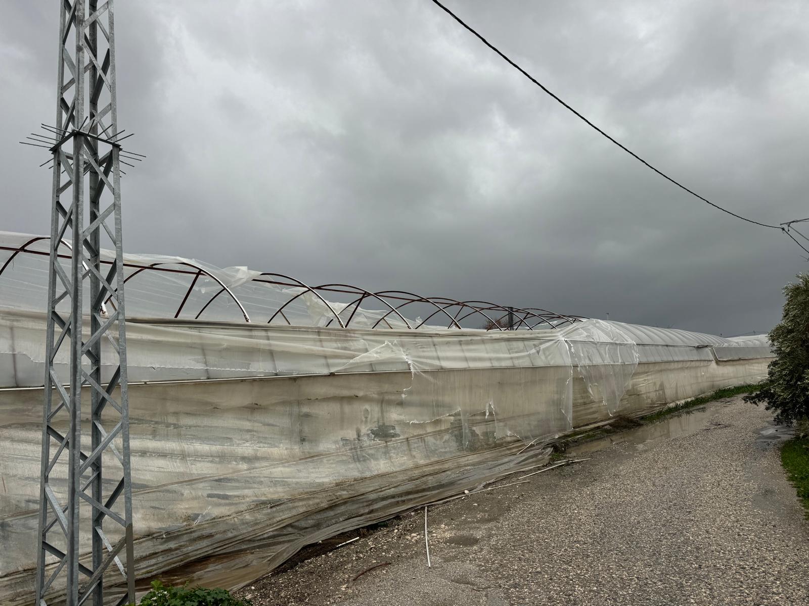 36Ccdf5C 600F 49D3 Bf12 Ed184Fbcf23C