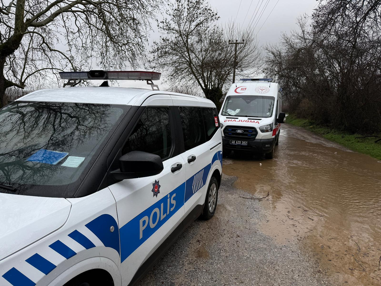 47340274 62D2 4Dab A595 9E7D30Aa366D