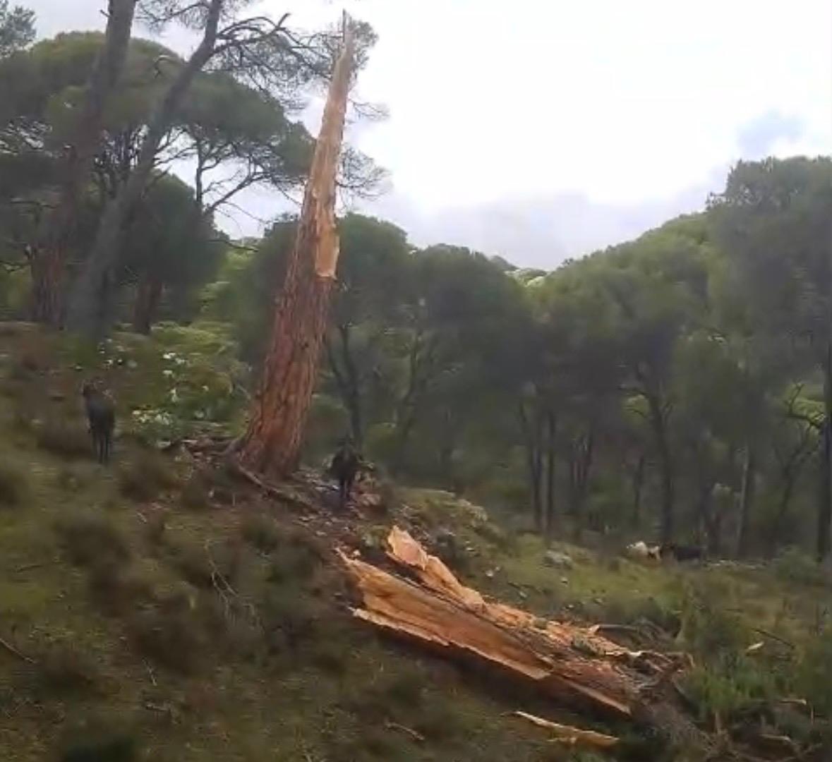 0B758612 53C6 441F 807D 332E9B57C2Fb