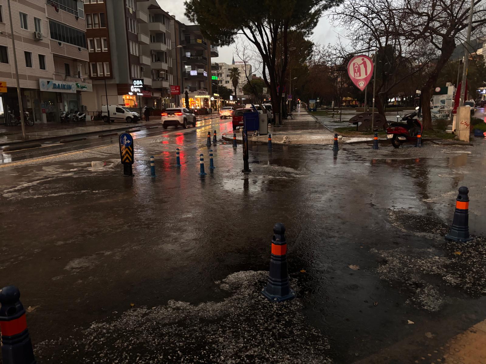 2404Ff11 A7Bd 4905 B38C 9339Ddc2Ddbb