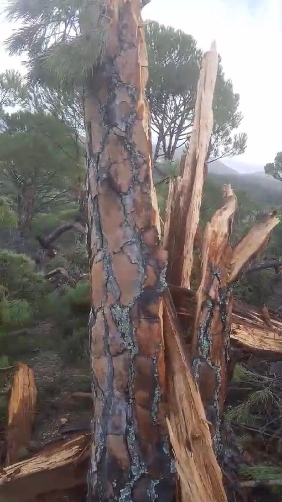 69970869 4104 43B7 Ad74 9819783A581D