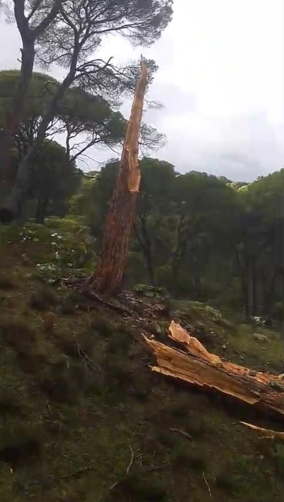 99492D12 6785 4E01 A5Fe F87A354F3910