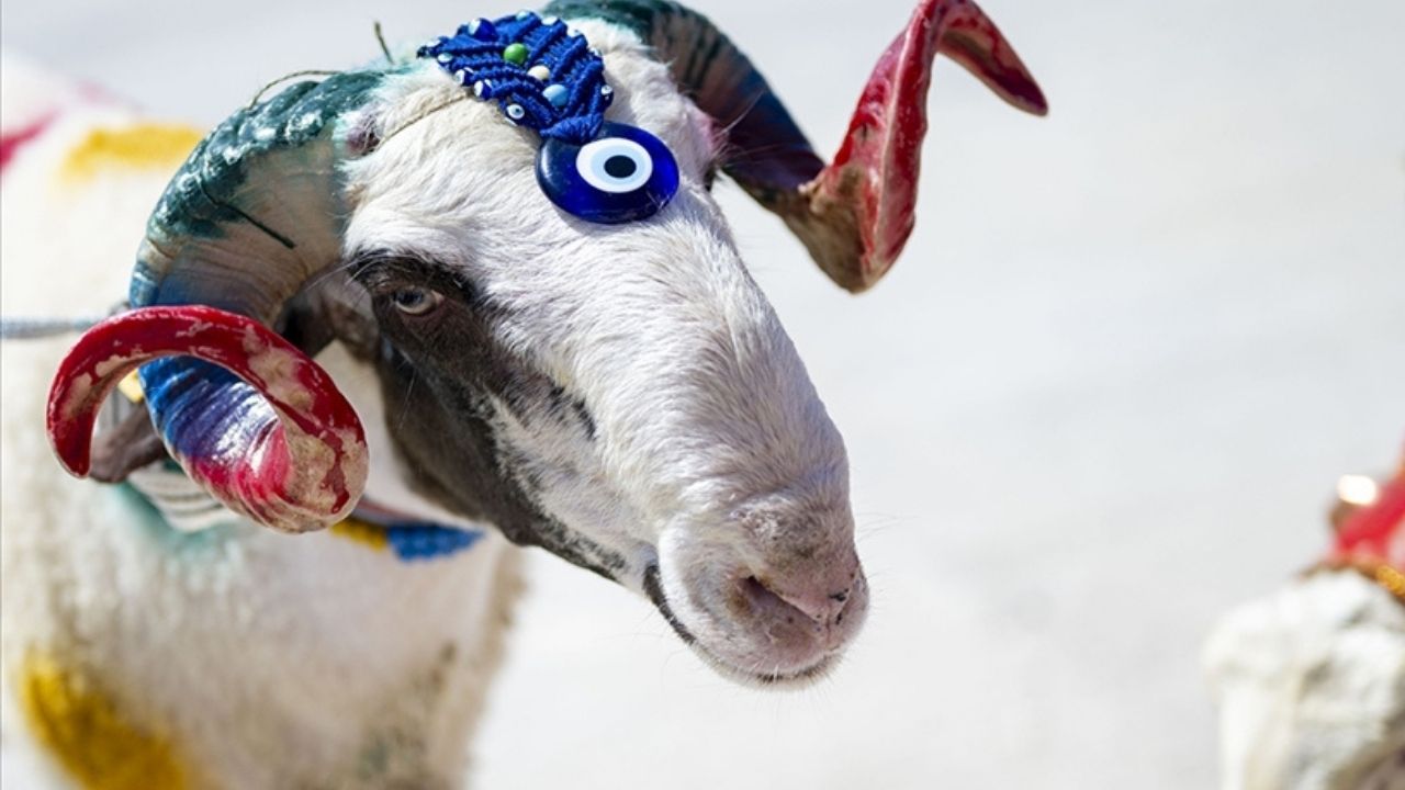 2026 Kurban Bayramı tatili 9 gün olacak mı, bayram hangi güne denk geliyor?