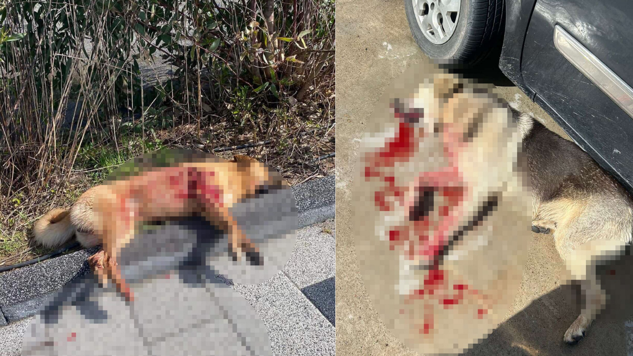 Adsız Tasarım (29)