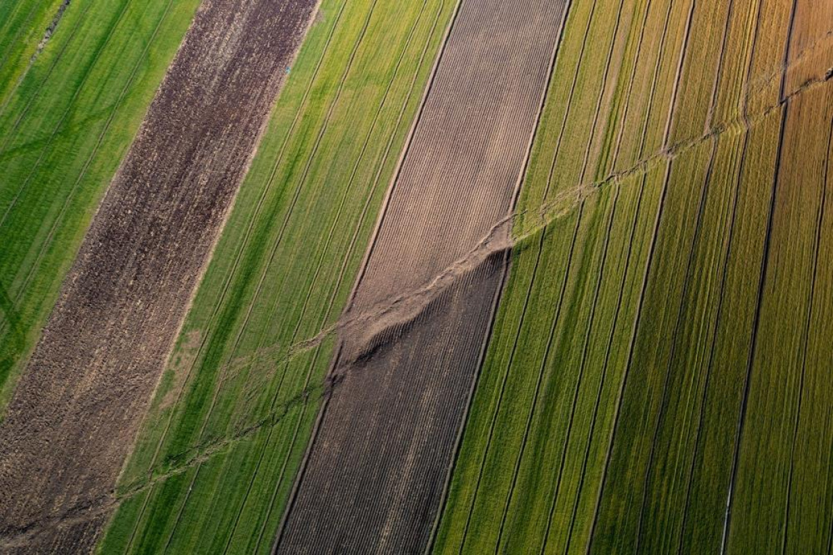 Evinizin Altından Fay Mı Geçiyor (1)