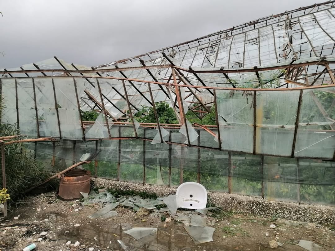 Snap Insta.to 626279840 18221722714309180 36405528450830408 N