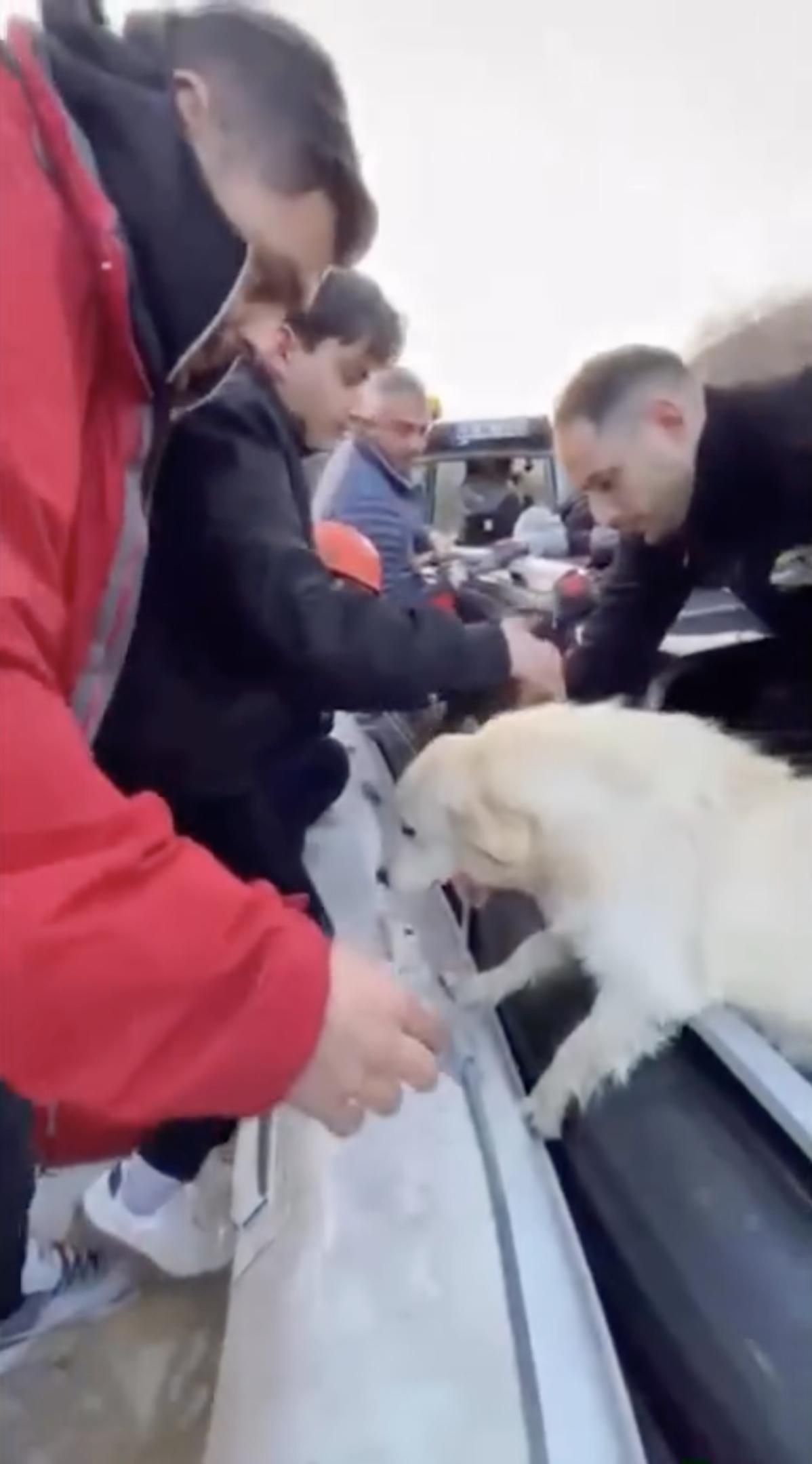 Menteşe’de Mahsur Kalan 5 Kişi Ve Köpek Kurtarıldı1