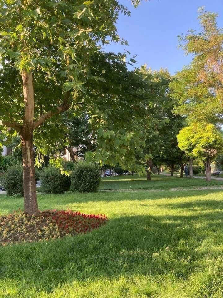 Whatsapp Image 2026 02 02 At 10.21.07