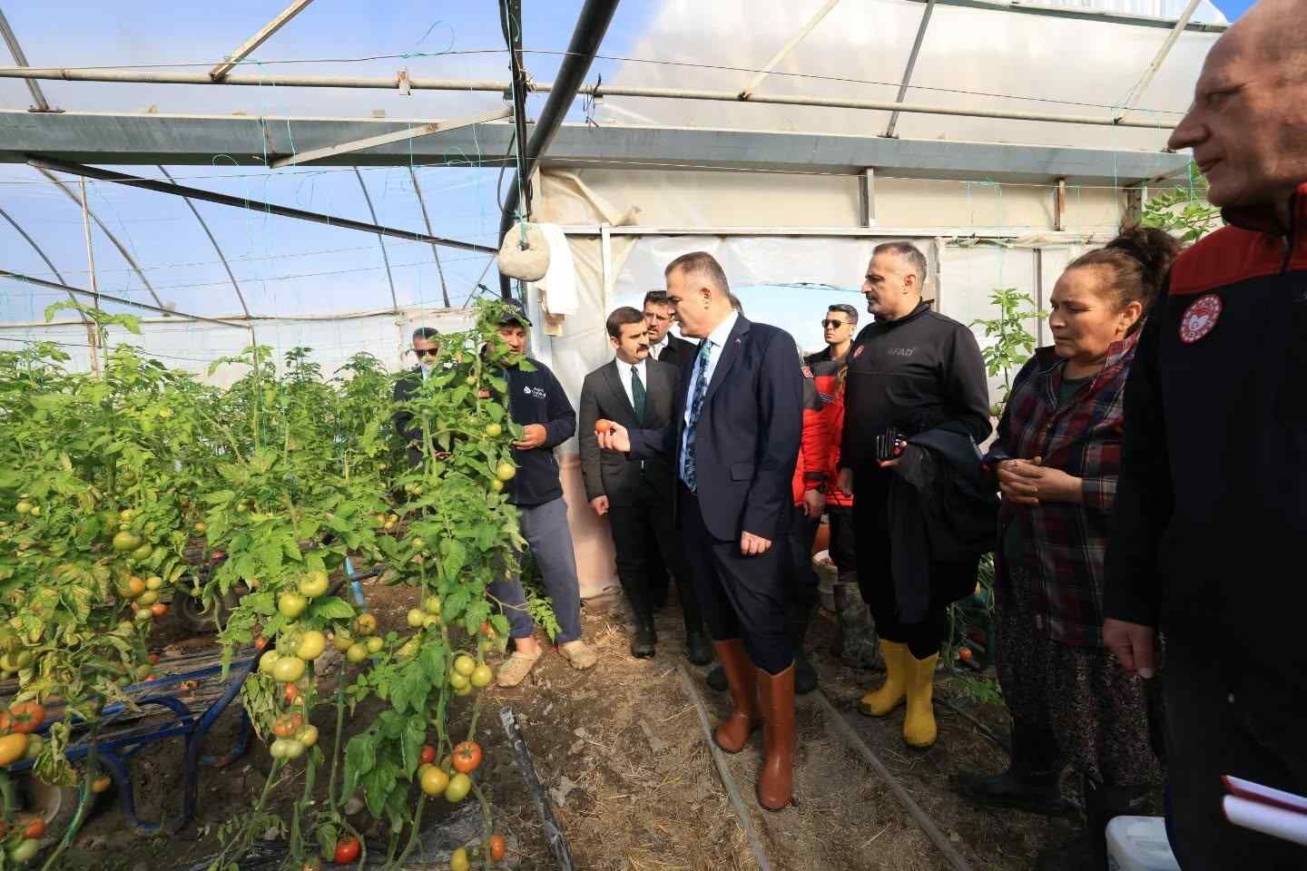 Vali Akbıyık’tan Köyceğiz’de Zarar Gören Seralara Ziyaret3