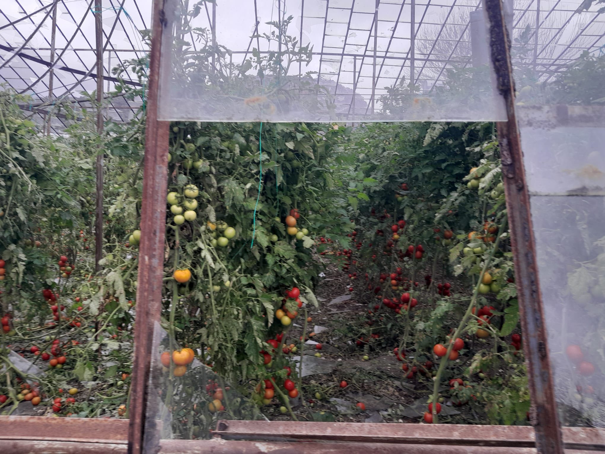 622594349 2061597568015517 1348898511336884472 N