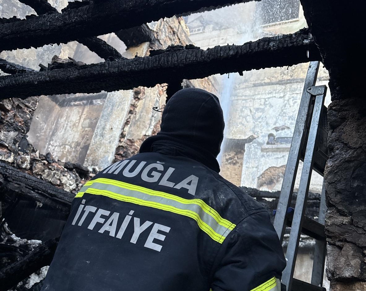 Whatsapp Image 2026 02 03 At 10.42.03 (1)