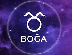 Boğa