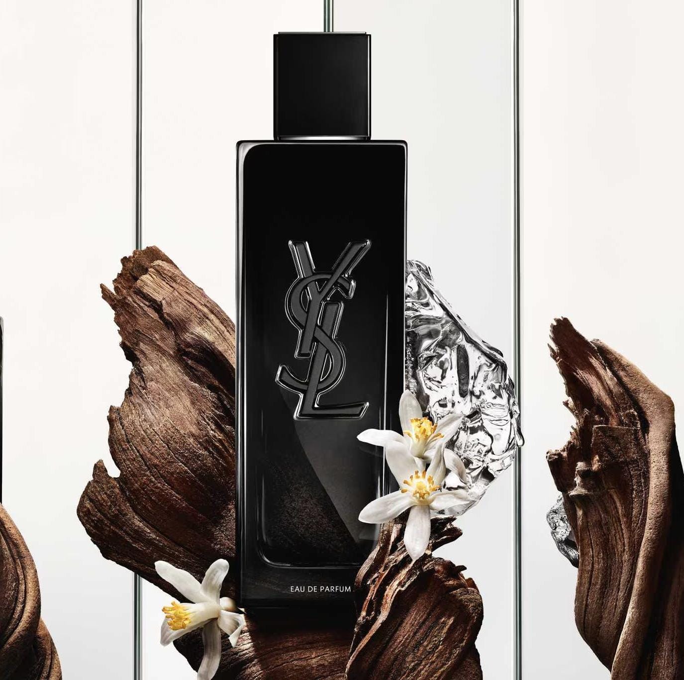 Whatsapp Image 2026 02 06 At 13.19.02