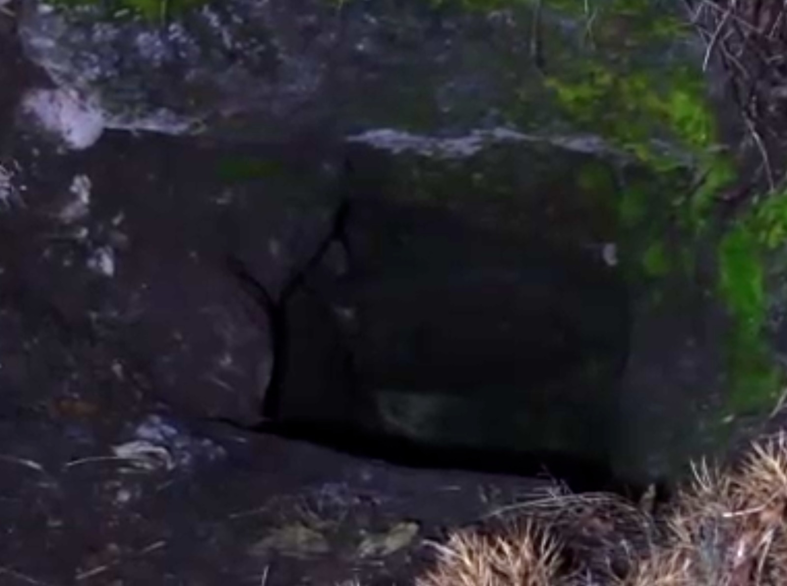 Whatsapp Image 2026 02 12 At 10.13.46