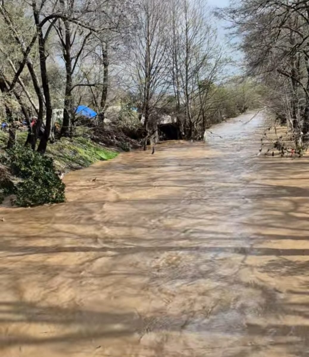 Whatsapp Image 2026 02 12 At 22.21.33 (1)