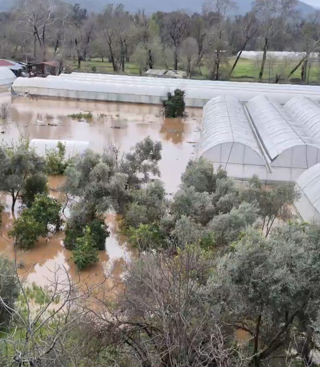 Whatsapp Image 2026 02 12 At 22.21.33