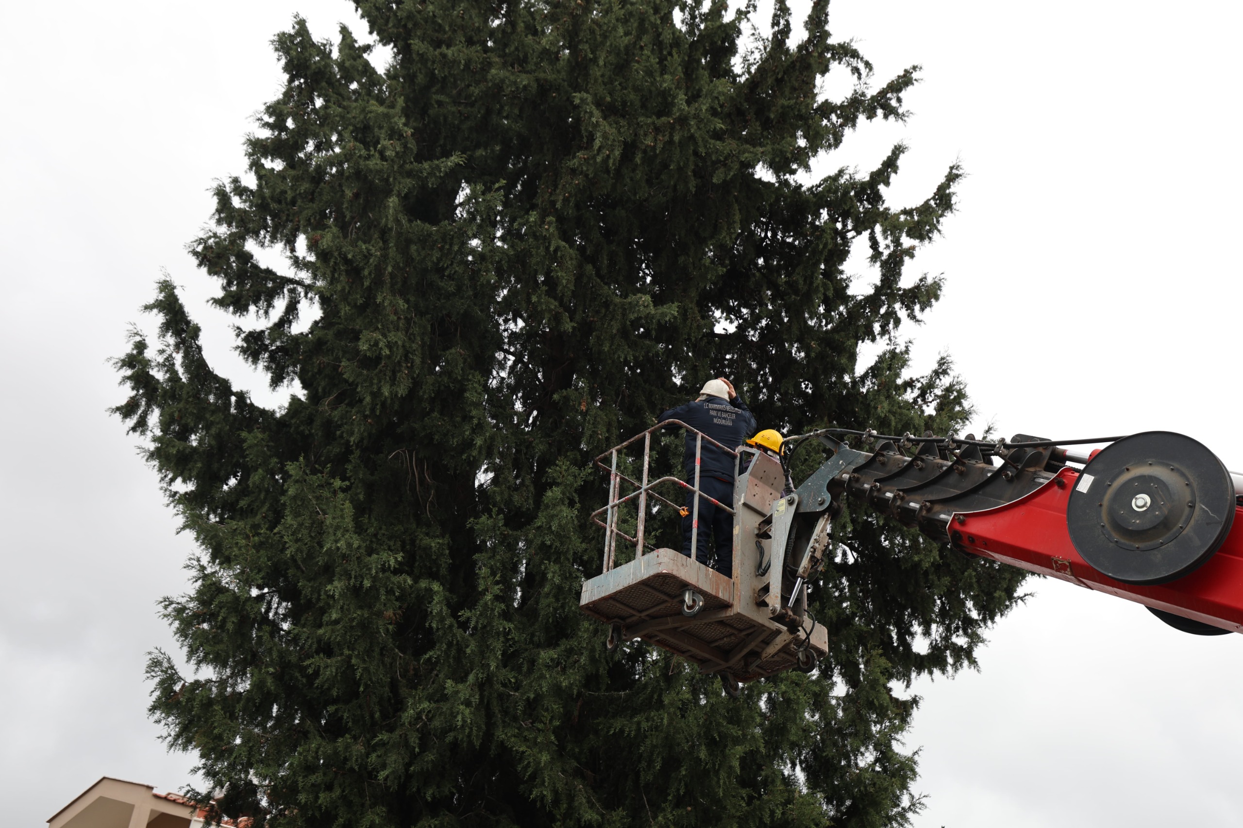 Park Bahçeler Eki̇p (2)