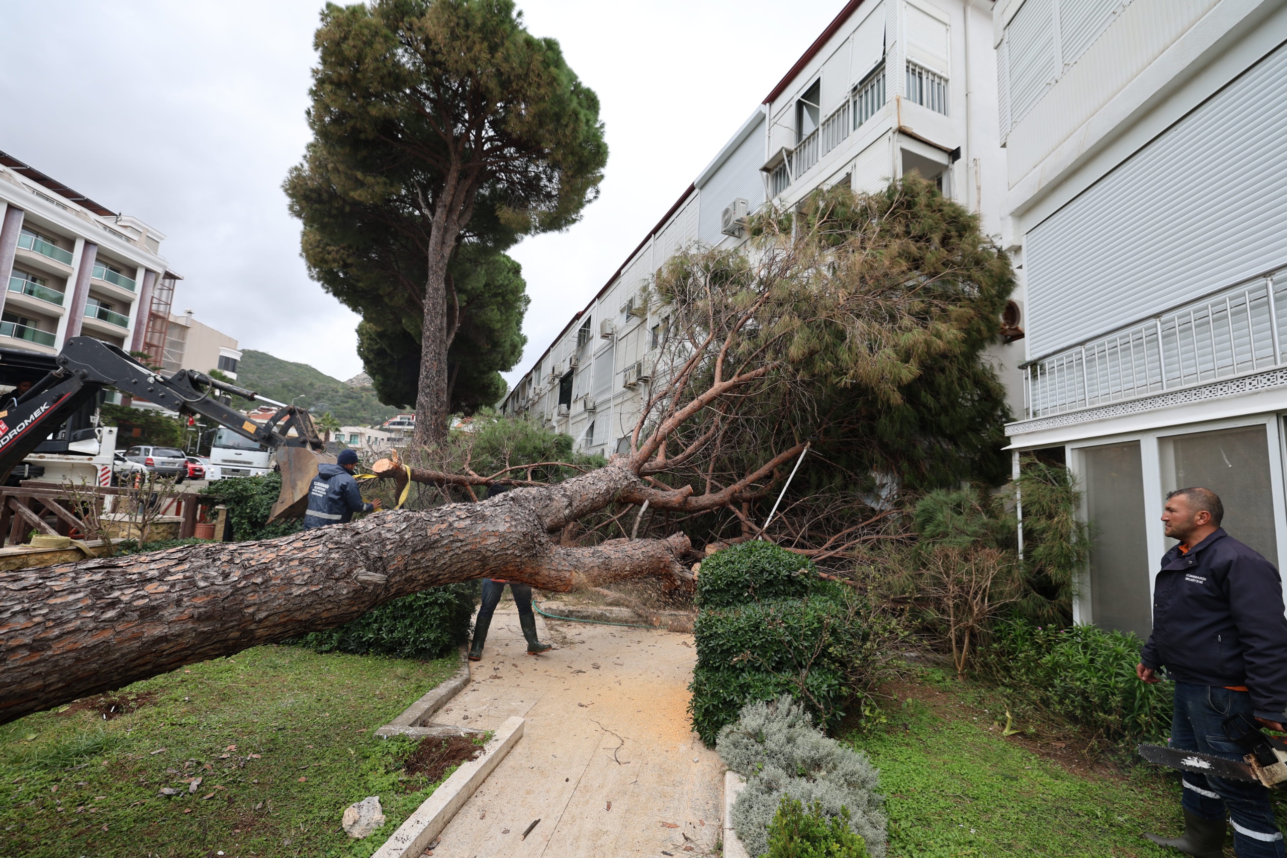 Park Bahçeler Eki̇p (4)