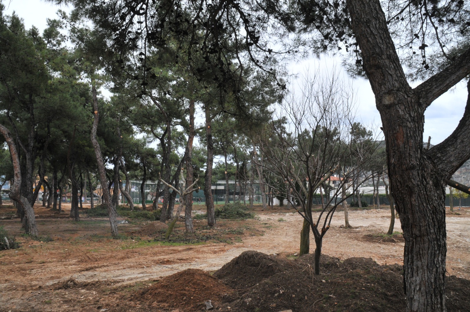 52007B96 4Cc5 4581 A62A Fc4A5Ae00047