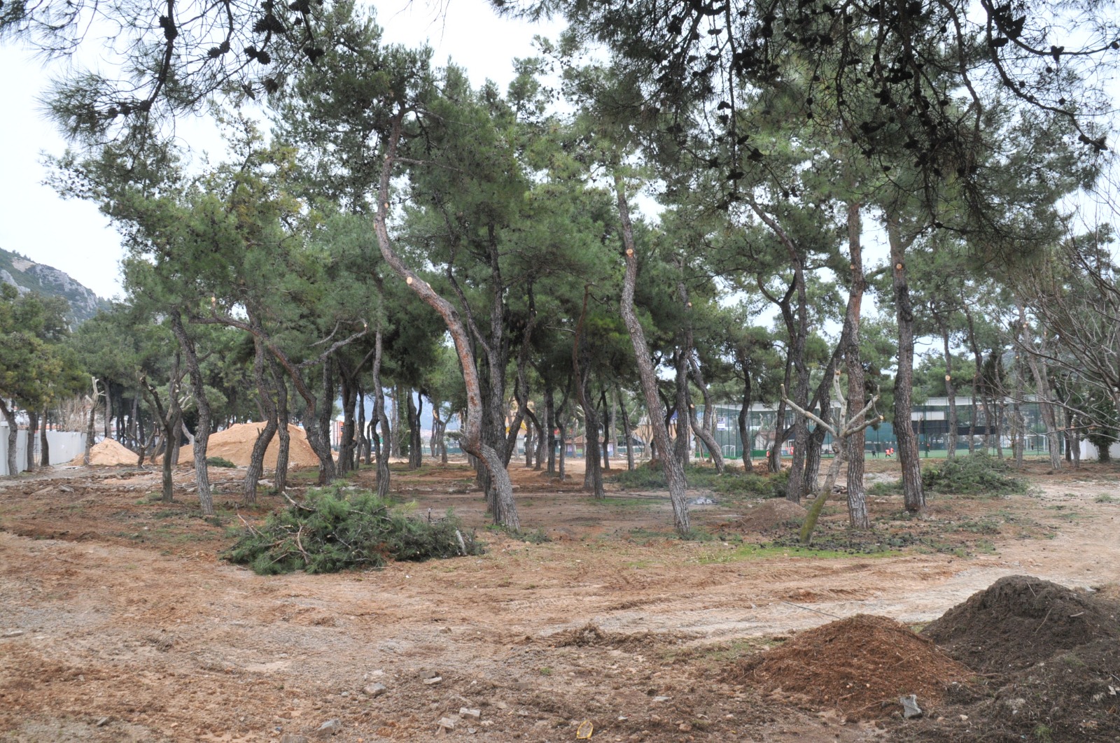 9A9E248F C5C5 457D B31E Ebc7F26B5B5F