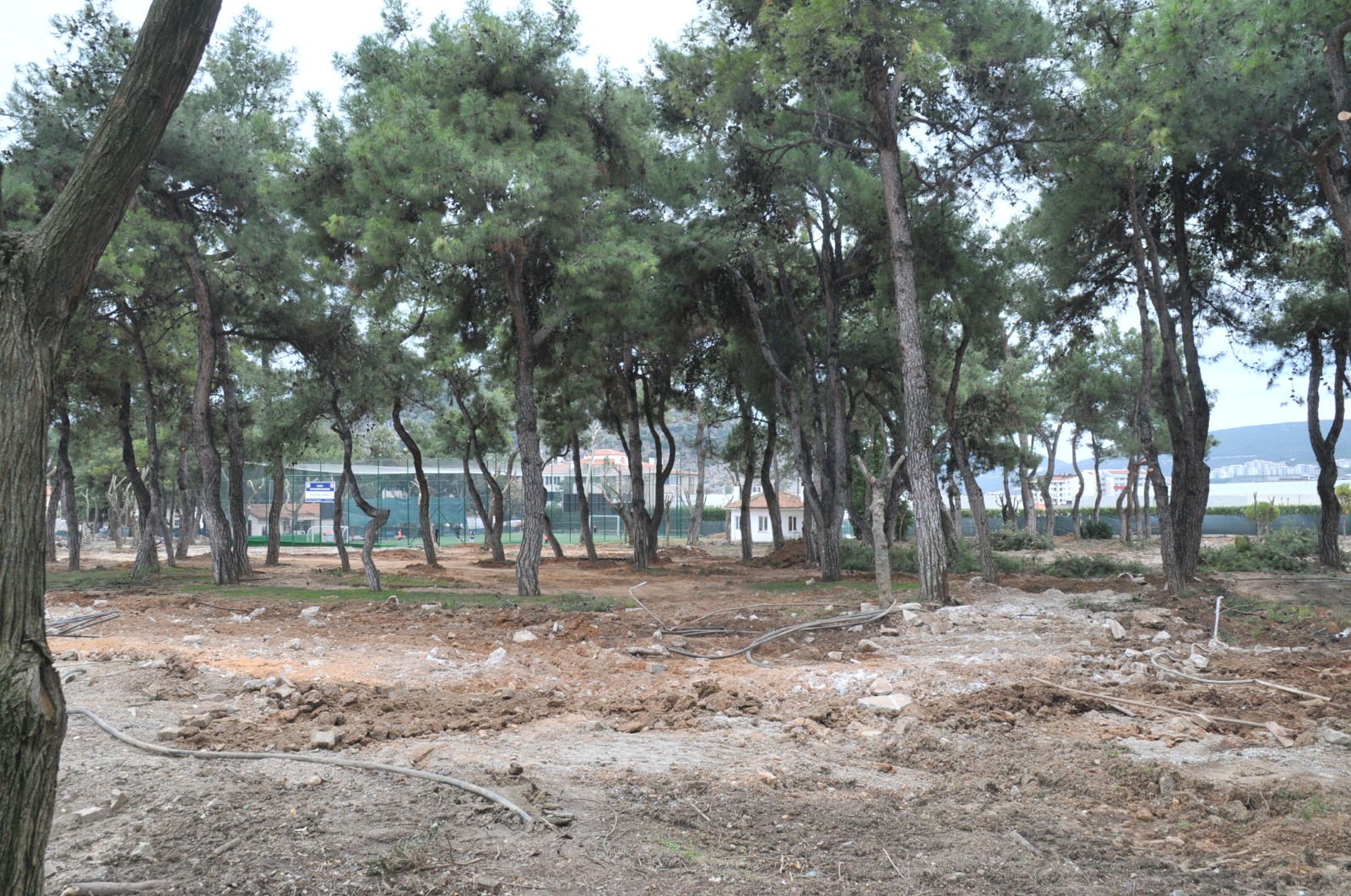 F5Fdfe84 B4C0 42Ed 8056 Dc929Cb07020