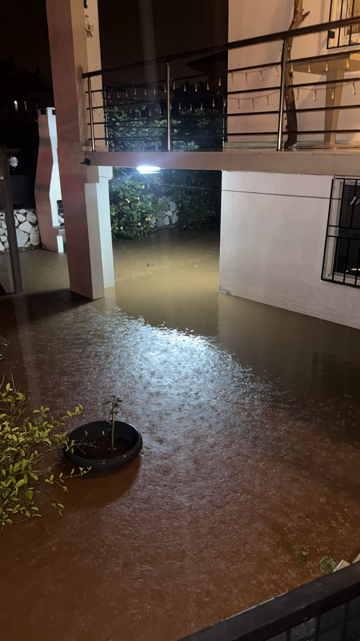 Whatsapp Image 2026 02 06 At 00.15.11